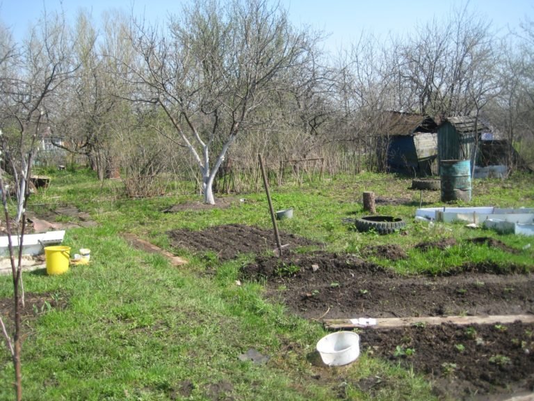 Хочу продать участок как это сделать 77 Хочу продать участок как это сделать 56