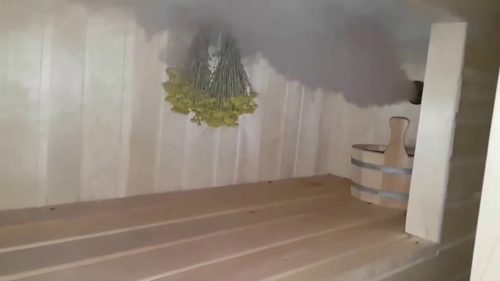 Выход пара из генератора