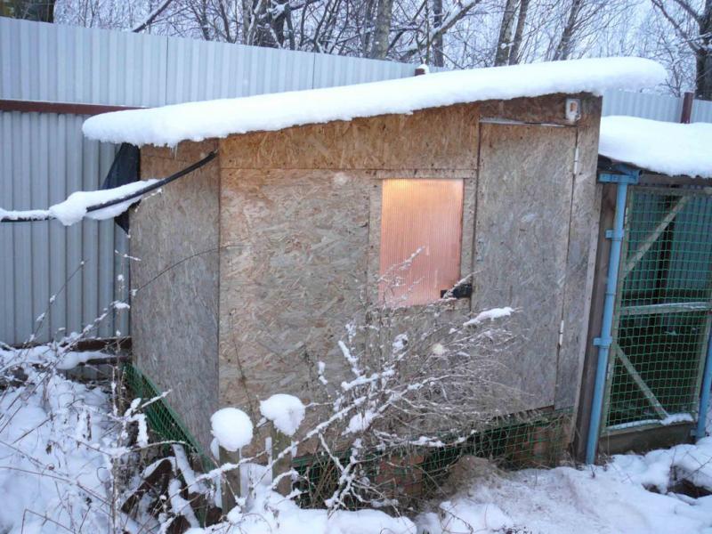 Зимний курятник своими руками фото для 20 кур Зимний курятник своими руками фото для 20 кур
