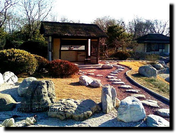Как сделать сад эксклюзивным в японском стиле