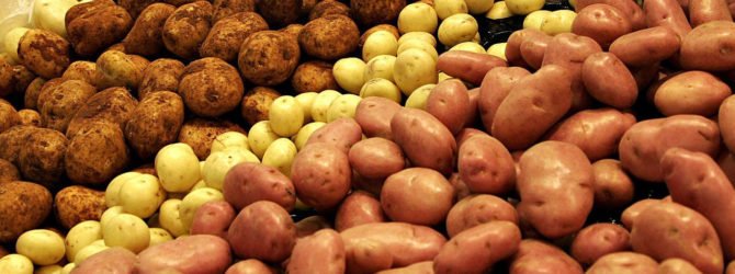 Оригинальный способ выращивания картошки…
