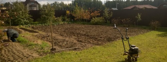 копаем огород