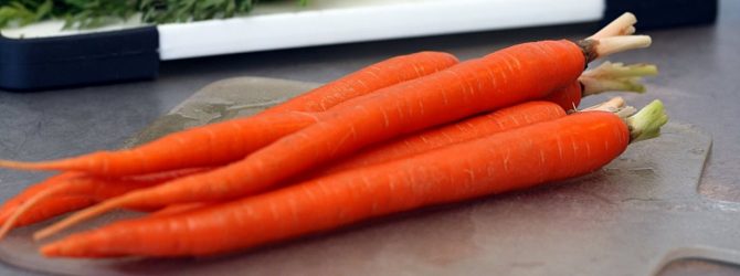 Морковь — выращивание, хранение, подкормка