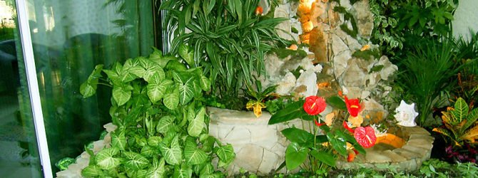 Правильный уход за растениями в зимнем саду поздней осенью: полив, внесение удобрений, освещение и температурные условия. Видео о грамотном Зимнем саде