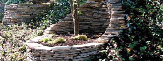 Рокарий – каменный сад для вашей дачи
