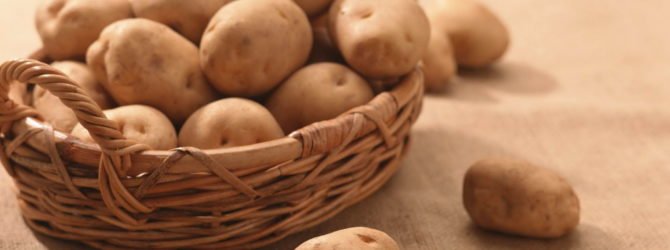 Как вырастить здоровый картофель