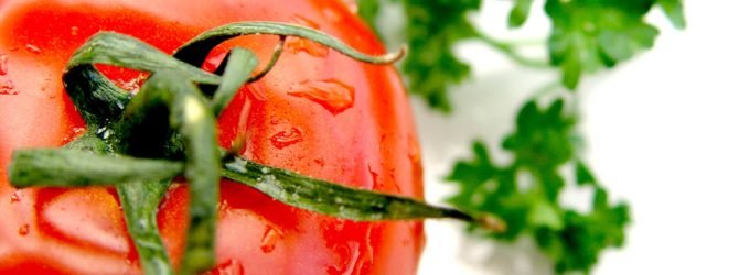Как вырастить хороший урожай помидоров: выращивание рассады из гибридных семян