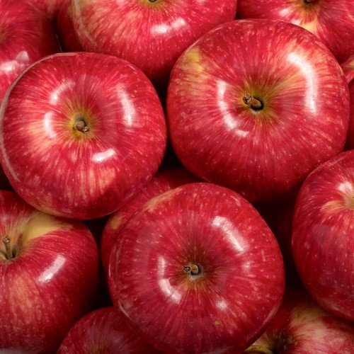 Урожай яблок сорта Мантет