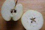 Яблоки сорта Антоновка в разрезе