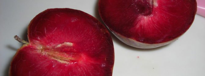 O odrůdách černé meruňky: popis a vlastnosti, výsadba, péče, pěstování
