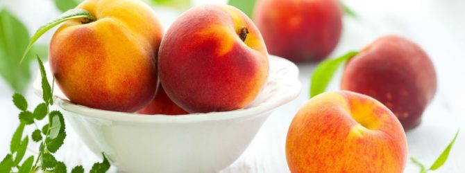 О болезнях персика: клястероспориоз, вредители, способы лечения и борьбы