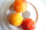Три абрикоса на блюде