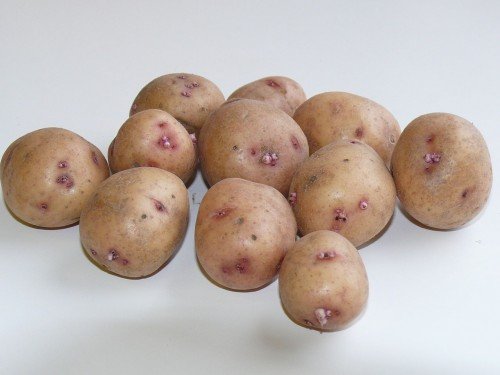 картофель сорта Аврора