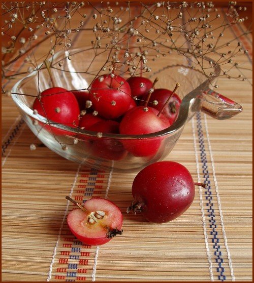 Яблоня Китайка Красная Фото