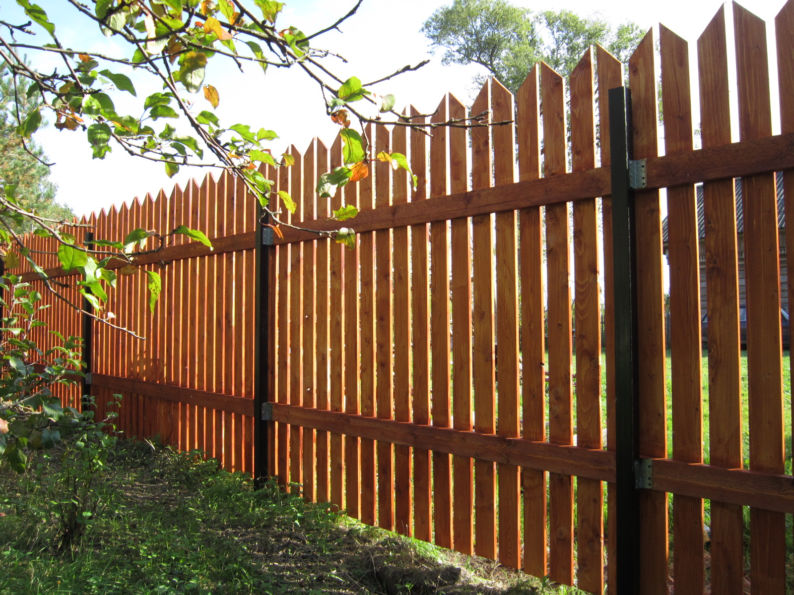 Забор из стволов деревьев (44 фото)