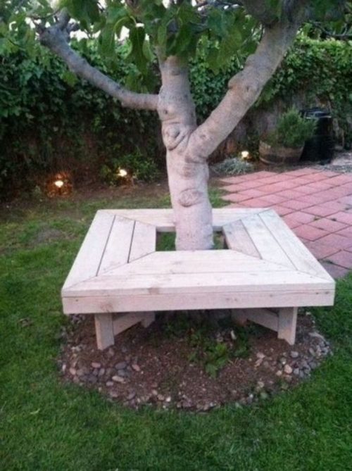 Скамейка вокруг дерева