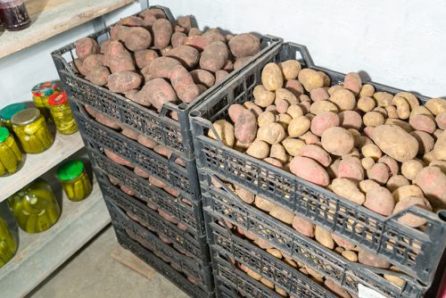 Ящики для картошки
