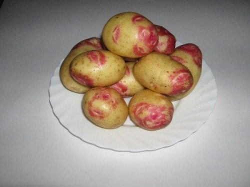 Клубни картофеля Лимонка