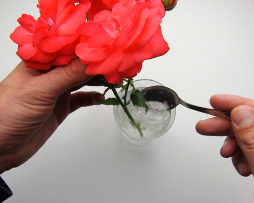 Сахар в вазу с розами