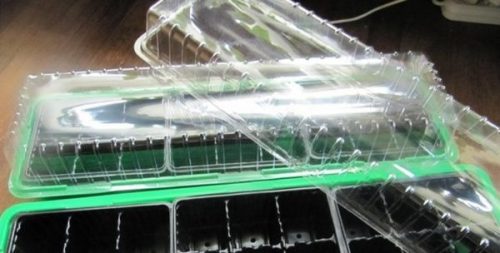 Пластиковые ящики для выращивания рассады